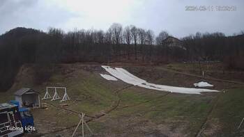 Ведмежа 11 березня 2024 року, 2024-03-11 13:00