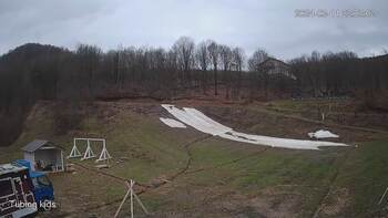 Ведмежа 11 березня 2024 року, 2024-03-11 16:00
