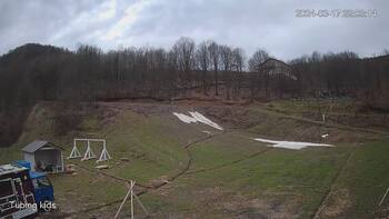 Ведмежа 17 березня 2024 року, 2024-03-17 16:00