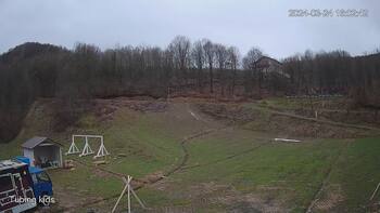 Ведмежа 24 березня 2024 року, 2024-03-24 10:00
