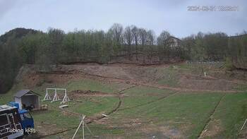 Ведмежа 31 березня 2024 року, 2024-03-31 13:00