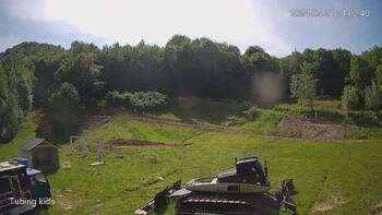 Ведмежа 21 травня 2024 року, 2024-05-21 16:00