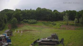 Ведмежа 1 червня 2024 року, 2024-06-01 16:00