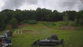Ведмежа 2 червня 2024 року, 2024-06-02 13:00