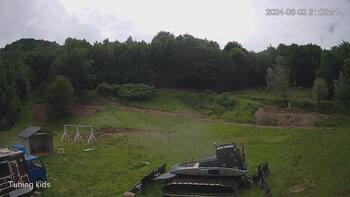 Ведмежа 3 червня 2024 року, 2024-06-03 16:00