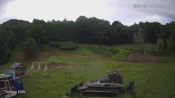 Ведмежа 4 червня 2024 року, 2024-06-04 16:00