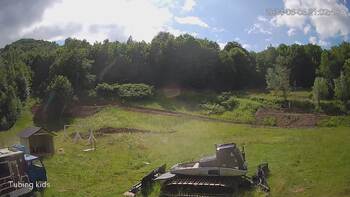 Ведмежа 5 червня 2024 року, 2024-06-05 16:00