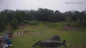 Ведмежа 7 червня 2024 року, 2024-06-07 10:00