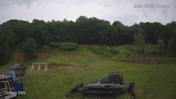 Ведмежа 9 червня 2024 року, 2024-06-09 10:00