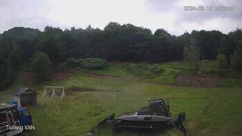 Ведмежа 10 червня 2024 року, 2024-06-10 10:00