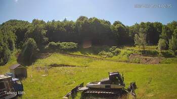 Ведмежа 15 червня 2024 року, 2024-06-15 16:00