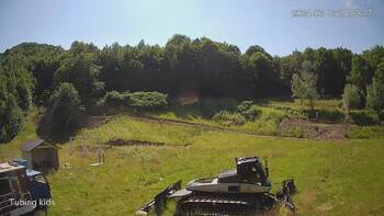 Ведмежа 16 червня 2024 року, 2024-06-16 16:00