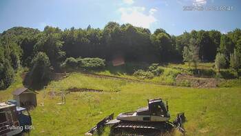 Ведмежа 18 червня 2024 року, 2024-06-18 16:00