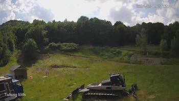 Ведмежа 19 червня 2024 року, 2024-06-19 16:00