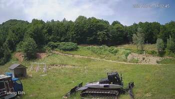 Ведмежа 27 червня 2024 року, 2024-06-27 13:00