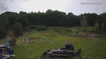 Ведмежа 30 червня 2024 року, 2024-06-30 16:00