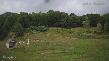 Ведмежа 3 серпня 2024 року, 2024-08-03 13:00