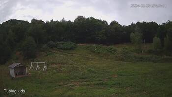 Ведмежа 3 серпня 2024 року, 2024-08-03 16:00
