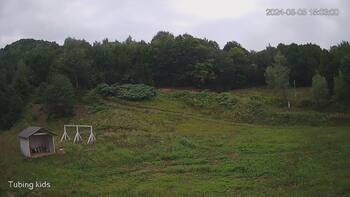Ведмежа 5 серпня 2024 року, 2024-08-05 10:00
