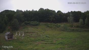 Ведмежа 5 серпня 2024 року, 2024-08-05 16:00