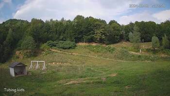 Ведмежа 9 серпня 2024 року, 2024-08-09 10:00