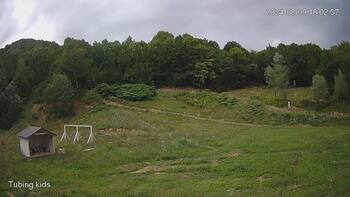 Ведмежа 9 серпня 2024 року, 2024-08-09 13:00