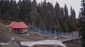 Драгобрат 20 травня 2023 року, 2023-05-20 10:00