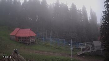Драгобрат 12 червня 2023 року, 2023-06-12 16:00