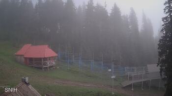 Драгобрат 13 червня 2023 року, 2023-06-13 10:00
