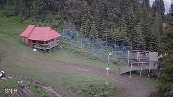 Драгобрат 5 червня 2024 року, 2024-06-05 10:00