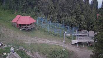 Драгобрат 9 червня 2024 року, 2024-06-09 13:00