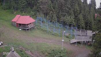 Драгобрат 10 червня 2024 року, 2024-06-10 13:00