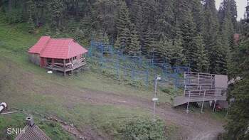 Драгобрат 11 червня 2024 року, 2024-06-11 10:00