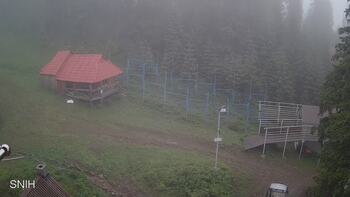 Драгобрат 13 червня 2024 року, 2024-06-13 10:00