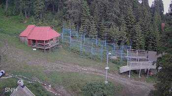 Драгобрат 15 червня 2024 року, 2024-06-15 10:00