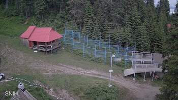 Драгобрат 17 червня 2024 року, 2024-06-17 13:00