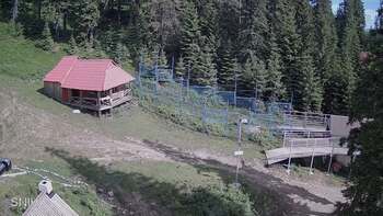 Драгобрат 18 червня 2024 року, 2024-06-18 10:00