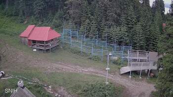 Драгобрат 23 червня 2024 року, 2024-06-23 16:00