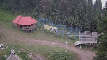 Драгобрат 25 червня 2024 року, 2024-06-25 10:00
