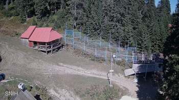 Драгобрат 8 вересня 2024 року, 2024-09-08 13:00