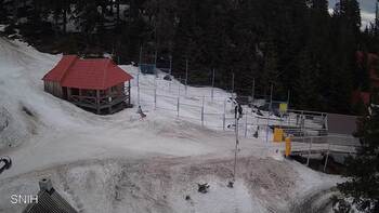 Драгобрат 11 березня 2025 року, 2025-03-11 13:00