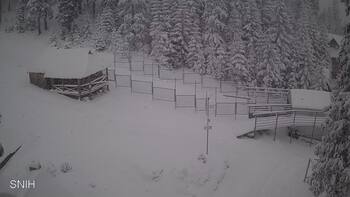 Драгобрат 31 грудня 2025 року 10:00