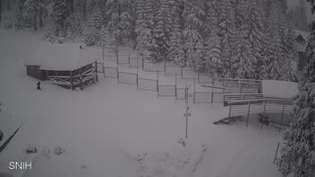 Драгобрат 31 грудня 2025 року, 2025-12-31 13:00