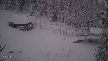 Драгобрат 31 грудня 2025 року, 2025-12-31 16:00