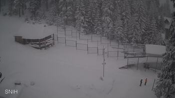 Драгобрат 1 січня 2026 року, 2026-01-01 13:00