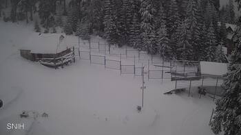 Драгобрат 2 січня 2026 року, 2026-01-02 10:00