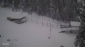 Драгобрат 3 січня 2026 року, 2026-01-03 10:00