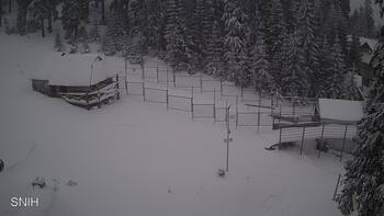 Драгобрат 3 січня 2026 року, 2026-01-03 13:00