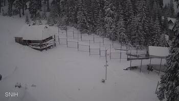 Драгобрат 3 січня 2026 року, 2026-01-03 16:00