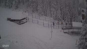 Драгобрат 10 січня 2026 року, 2026-01-10 16:00